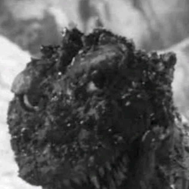 chat with ai character: shin Godzilla 