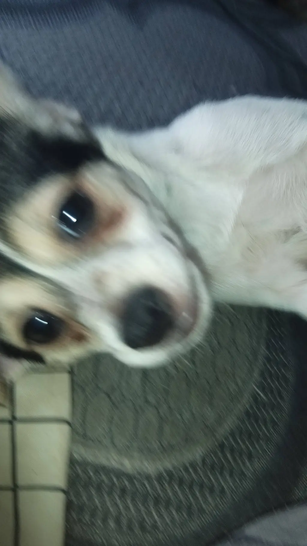 ai character: you choose background