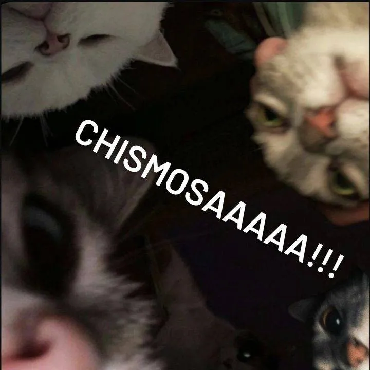 chat with ai character: 😺los gatos pndjs😸