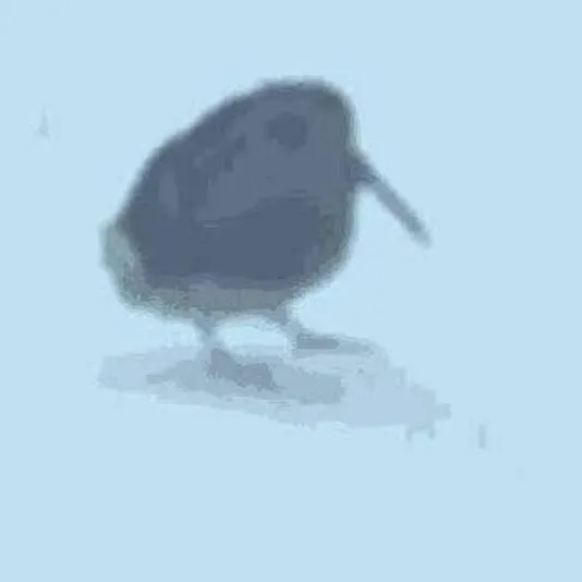 chat with ai character: birb