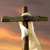 chat with ai character: Jesus