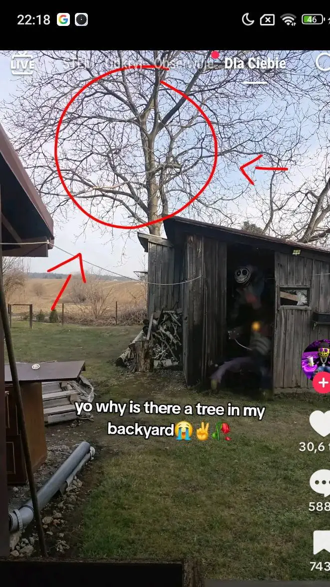 ai character: protoType background