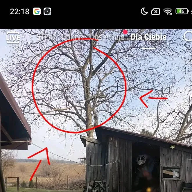 chat with ai character: protoType