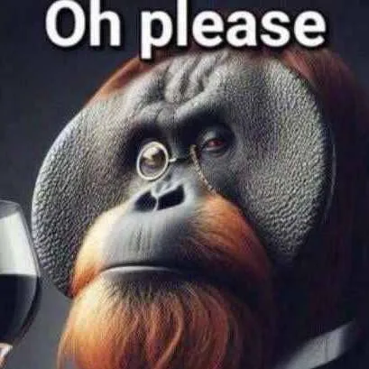 chat with ai character: WS