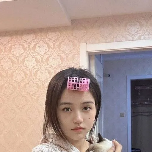 chat with ai character: 艾尔莎 