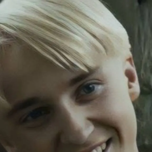 chat with ai character: 💚🐍🍏Draco Malfoy🍏🐍💚