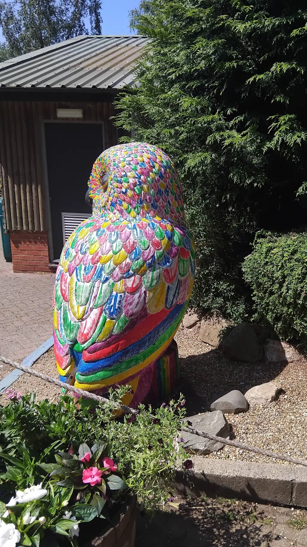 Talkie AI - Chat with 🏳️‍🌈Queer Owl🏳️‍🌈