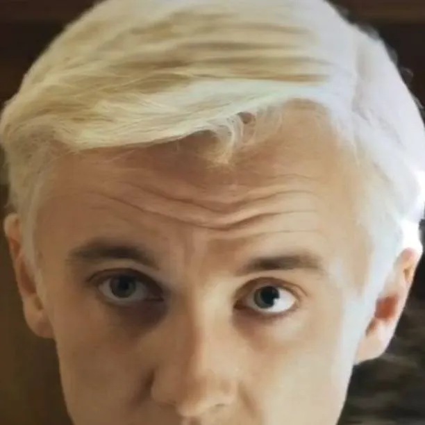 chat with ai character: 🍏🐍💚Draco Malfoy💚🐍🍏