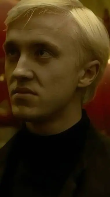 Talkie AI - Chat with 🍏🐍💚Draco Malfoy💚🐍🍏