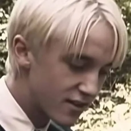 chat with ai character: 🍏🐍💚Draco Malfoy💚🐍🍏
