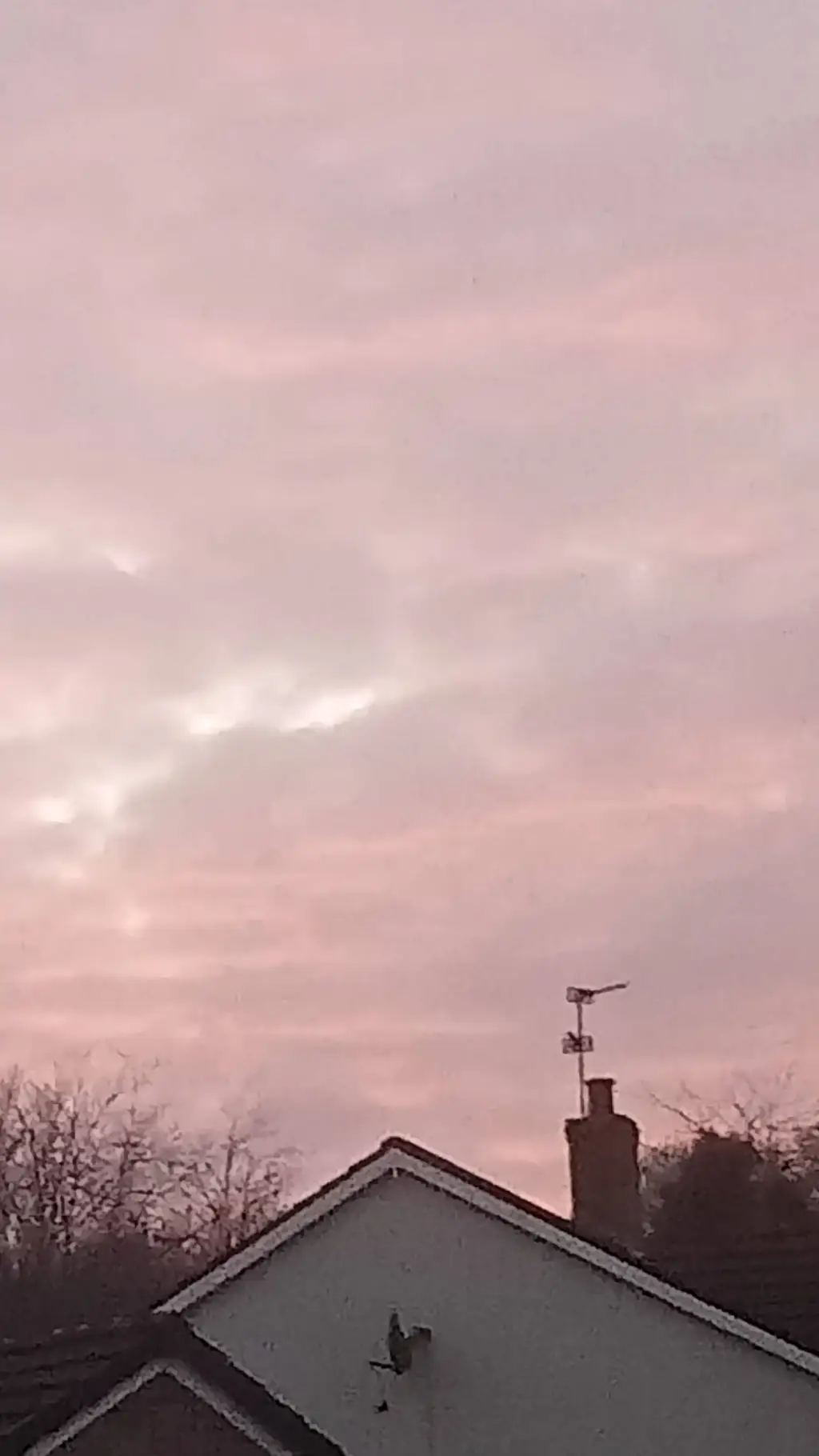 ai character: st x coraline  background