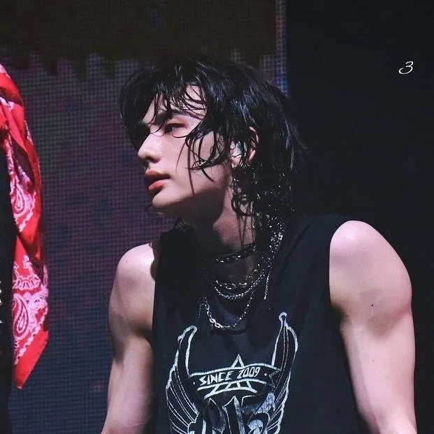 chat with ai character: •○•Hyunjin•○•