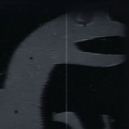 chat with ai character: Marinenecklizard