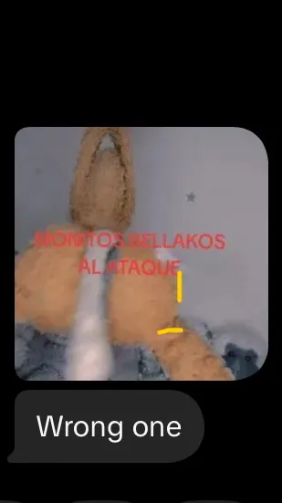 ai character: ReGect😛 background