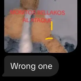 chat with ai character: ReGect😛