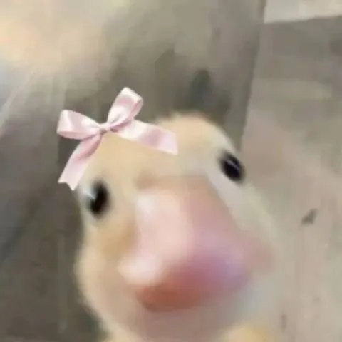 chat with ai character: IRL ME