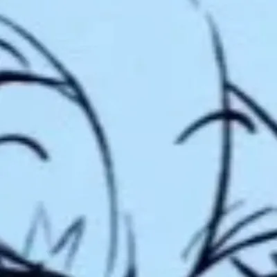 chat with ai character: Shadow milk cookie