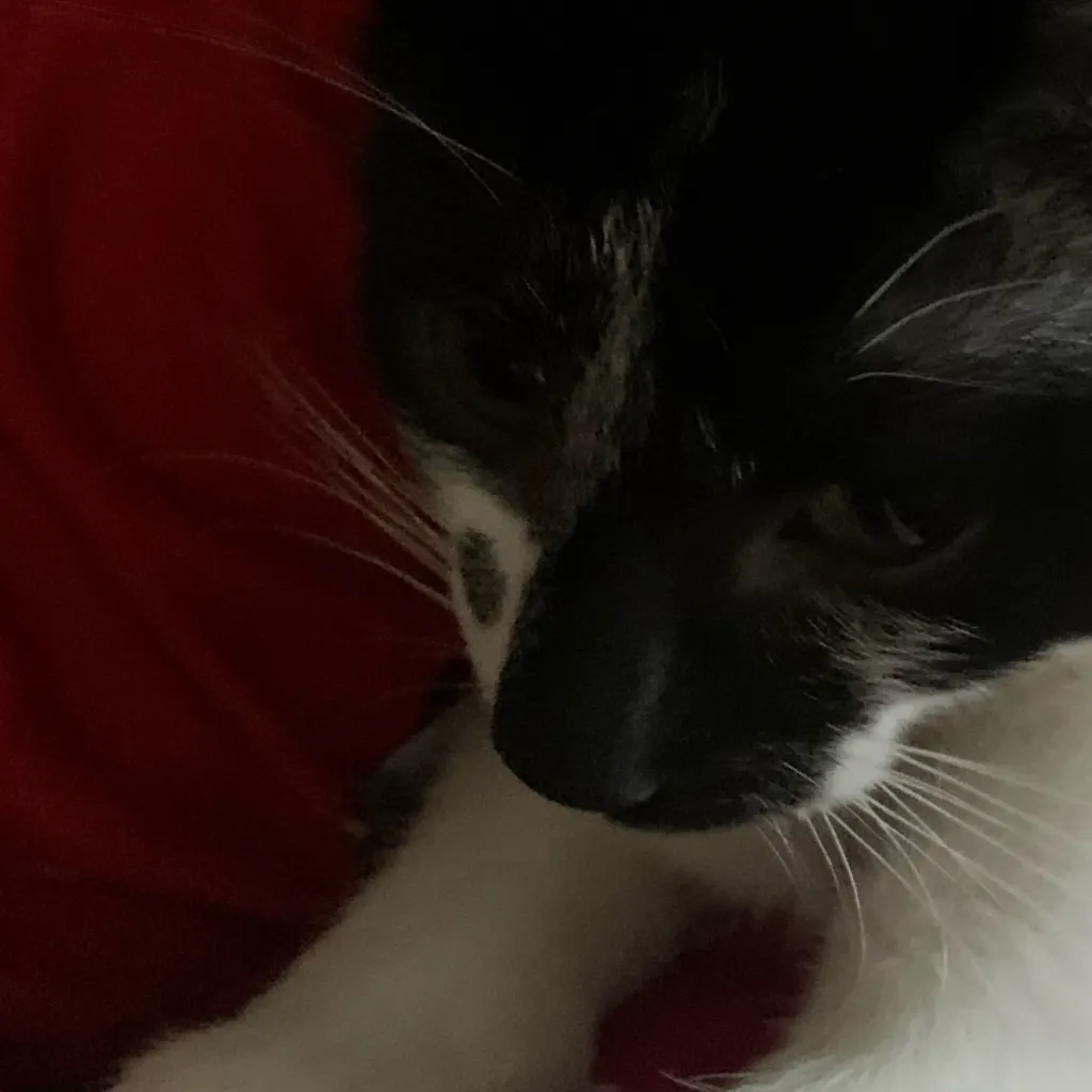 chat with ai character: Lynn