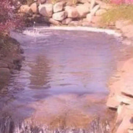 chat with ai character: mha without trama