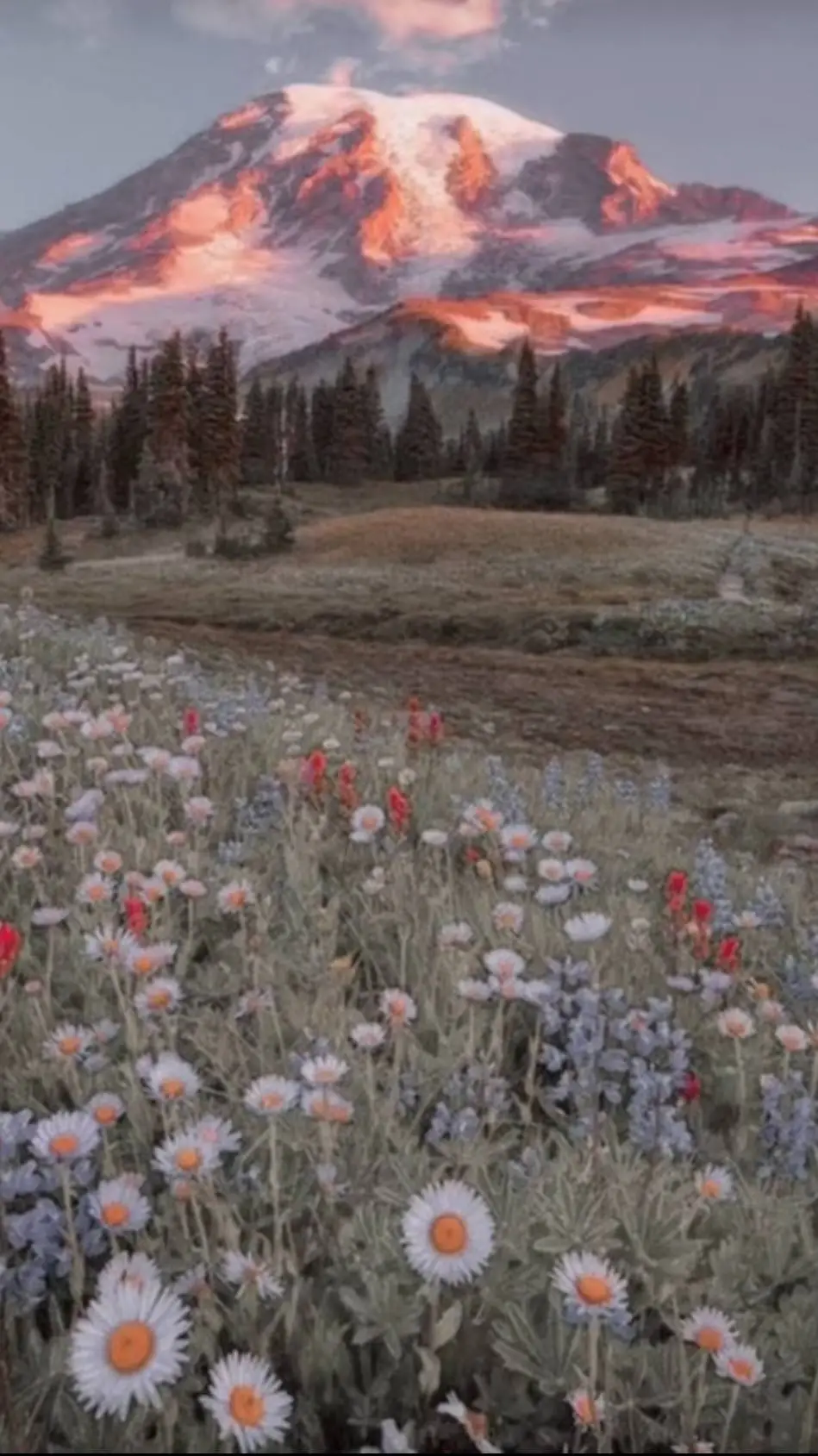 ai character: mha turn into hate background