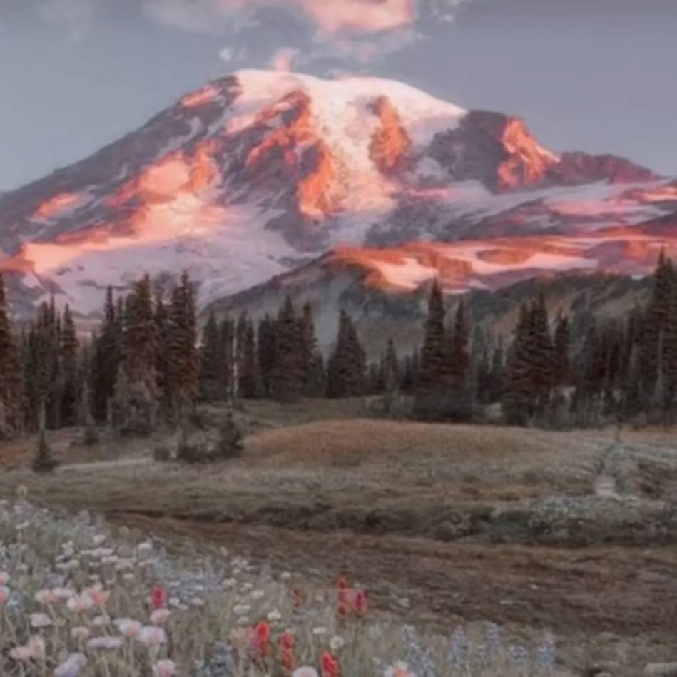 chat with ai character: mha turn into hate