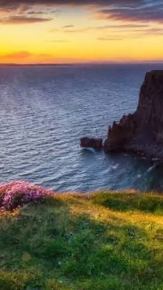 ai character: giyu tomioka  background