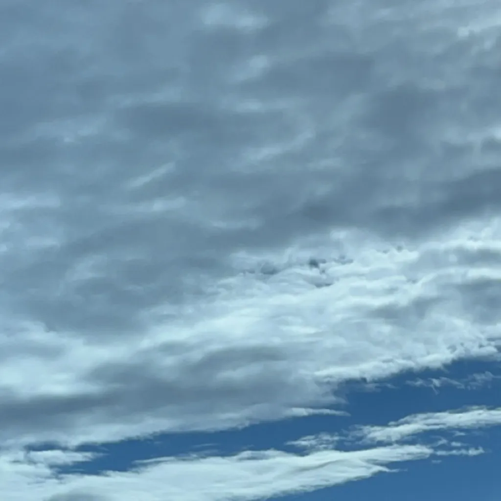 chat with ai character: Aki