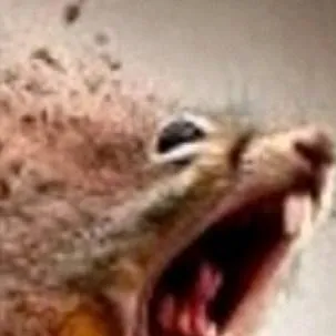 chat with ai character: Screaming Squirrel