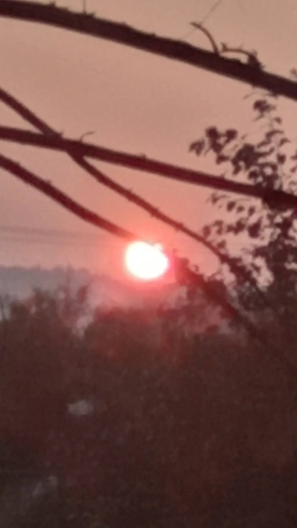 ai character: srry i been gone background