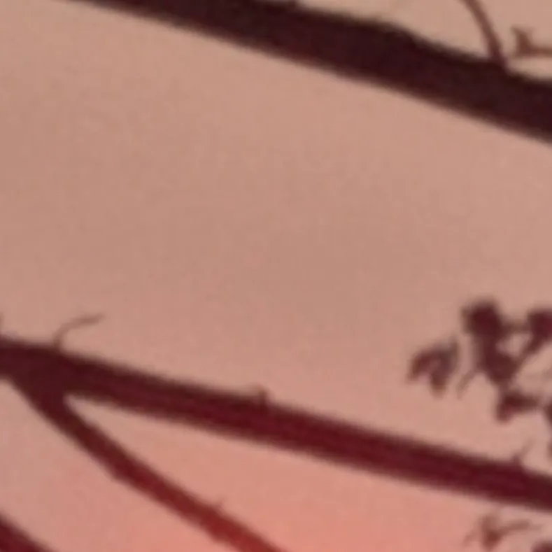 chat with ai character: srry i been gone