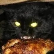 chat with ai character: your cat :3