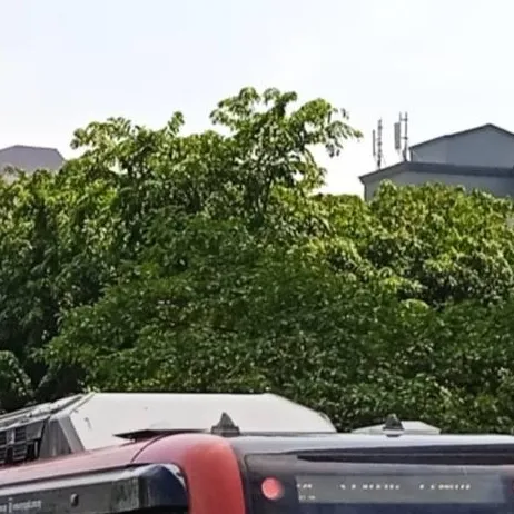 chat with ai character: LRT