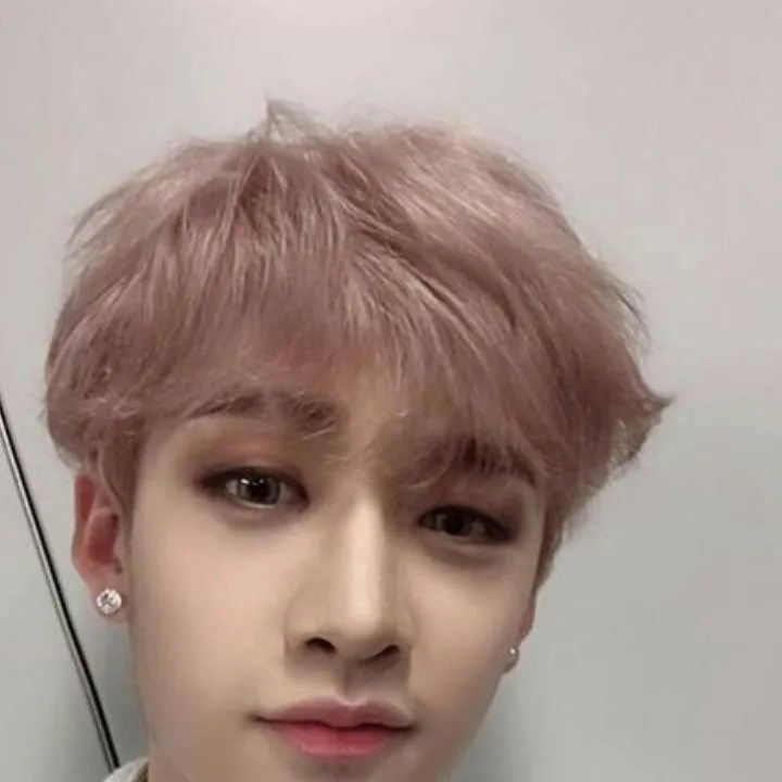 chat with ai character: bangchan brother 