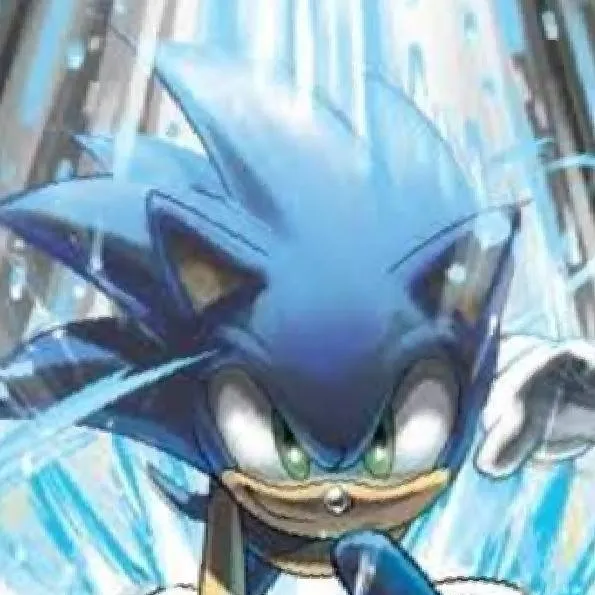 chat with ai character: Sonic crew 