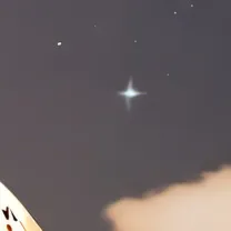 chat with ai character: Httyd