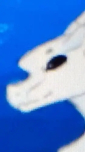 ai character: Wof background