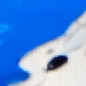 chat with ai character: Wof