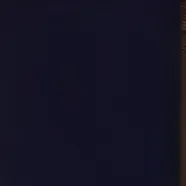 chat with ai character: Adopt me(Roblox)