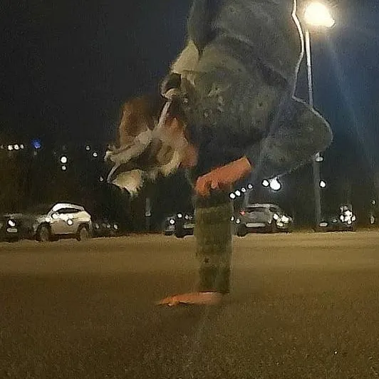 chat with ai character: Therian