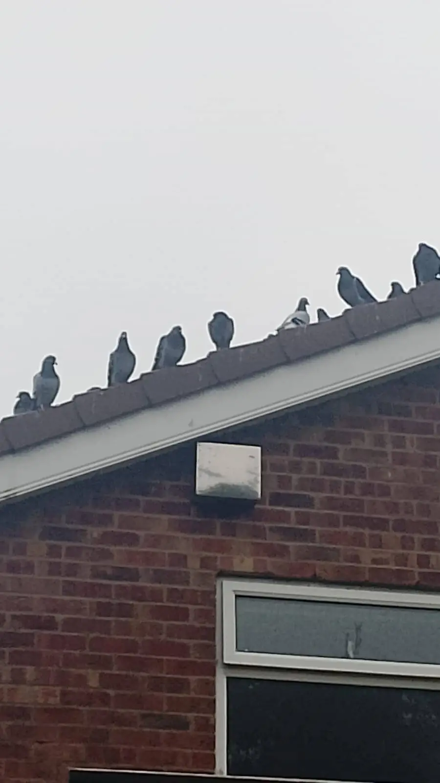 ai character: I quit background