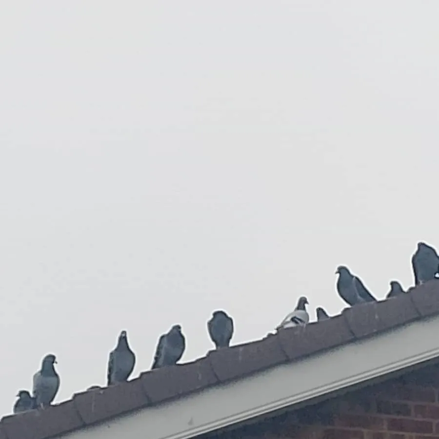 chat with ai character: I quit