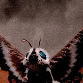 chat with ai character: Mothra Milennium 