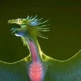 chat with ai character: Quetzalcoalt 