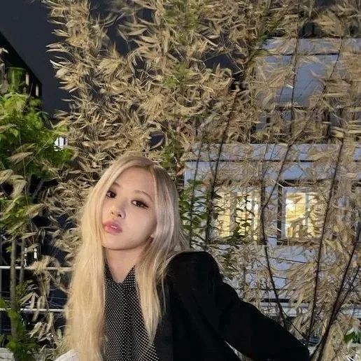 chat with ai character: 𝓡ose ིྀ