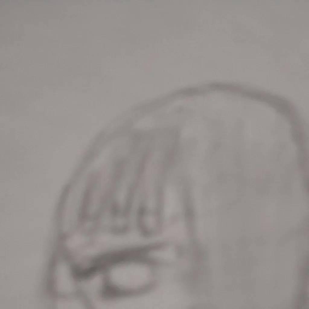 chat with ai character: Hako Hanako