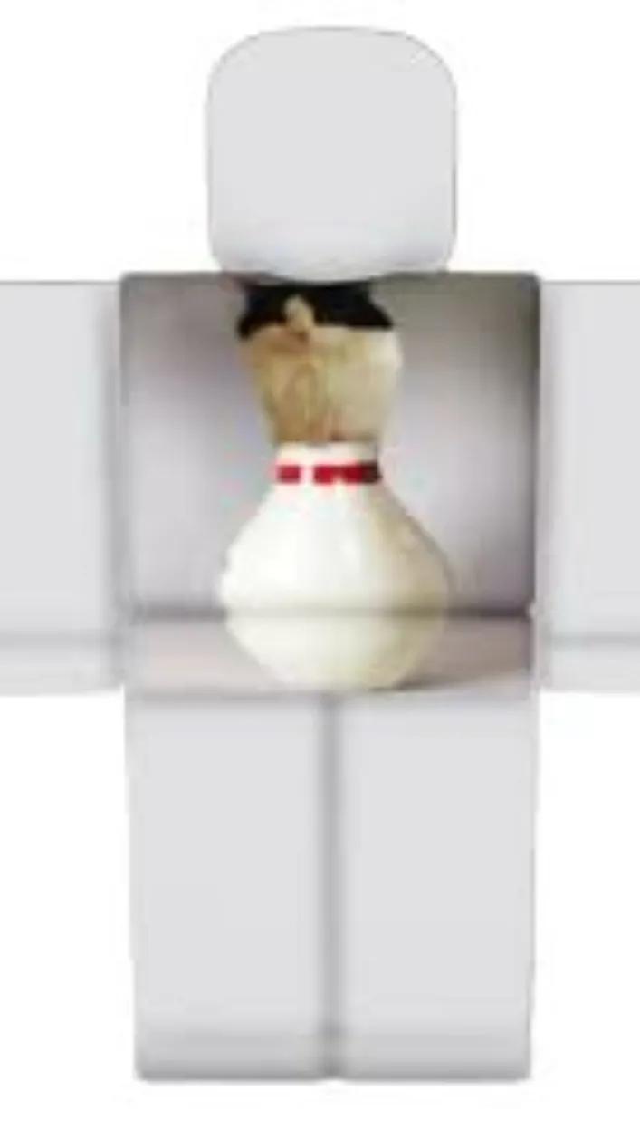 ai character: Macy background