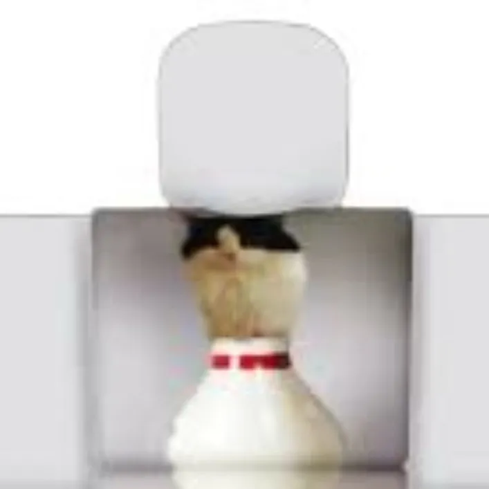 chat with ai character: Macy