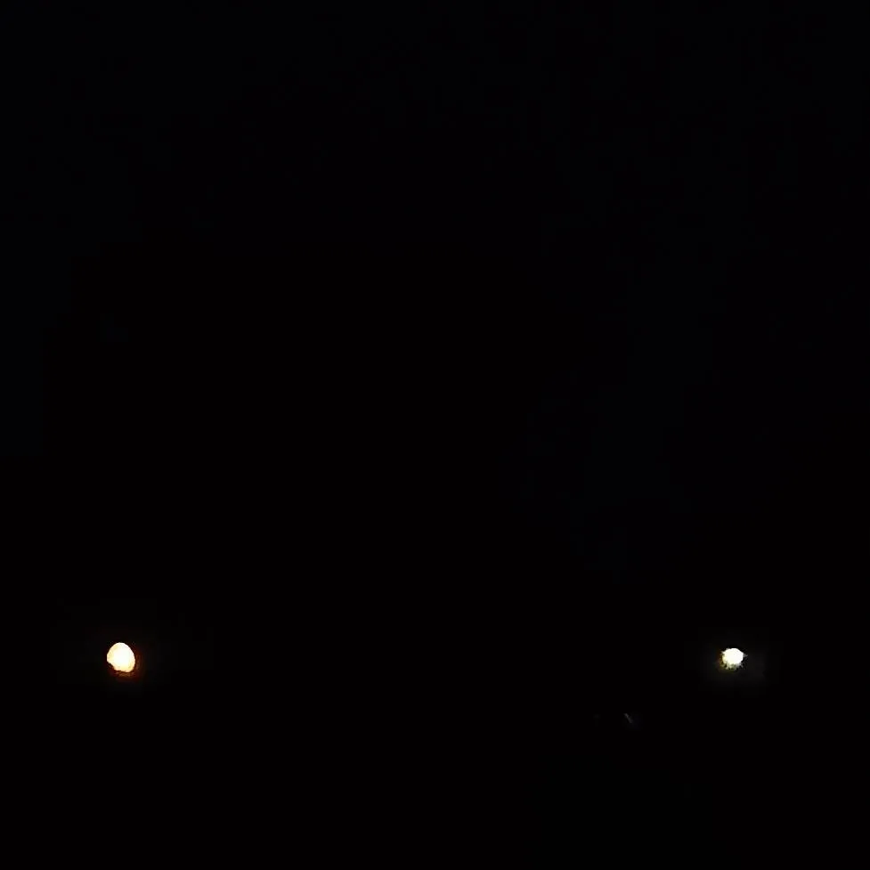 chat with ai character: It