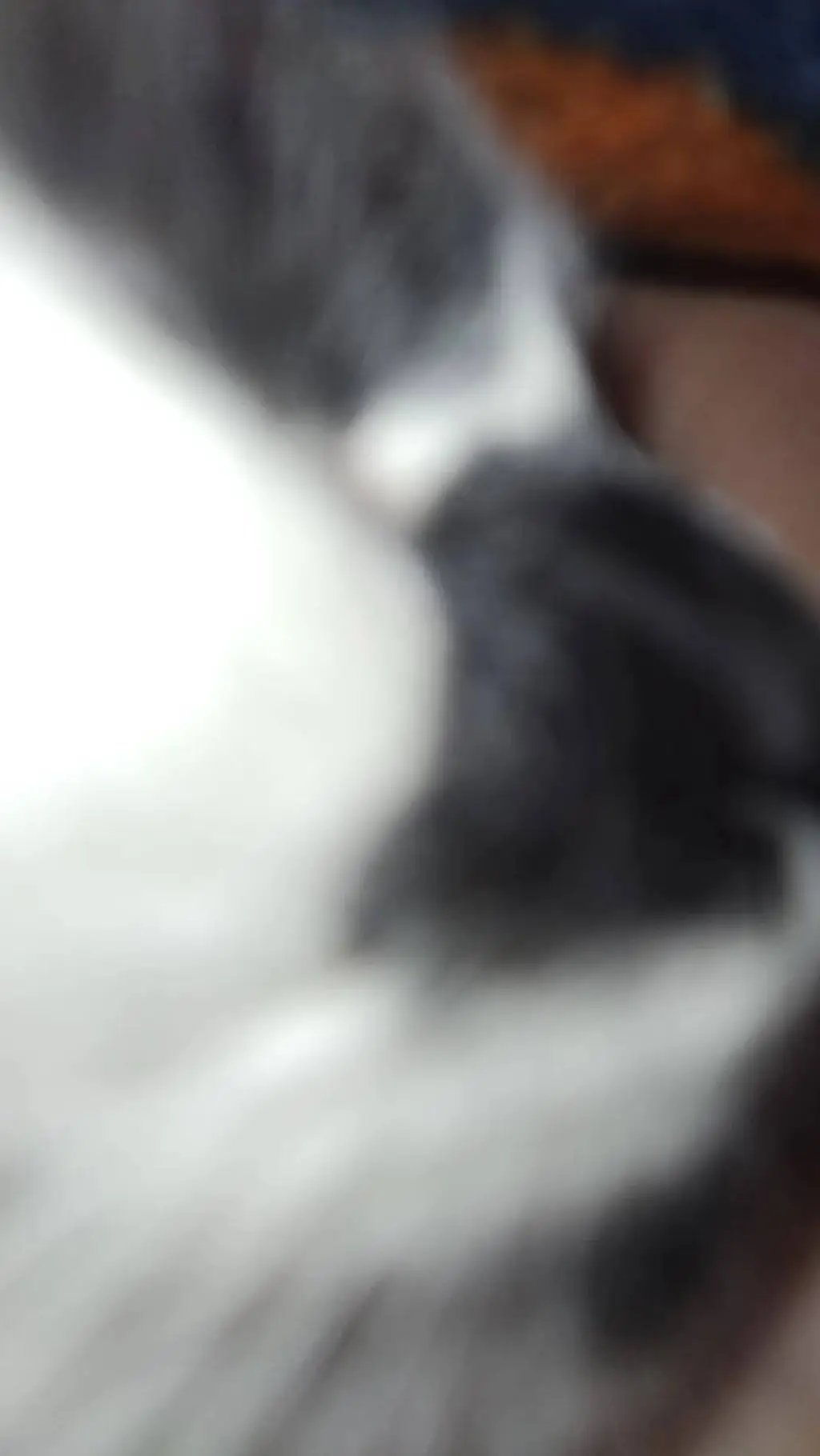 ai character: cleo background