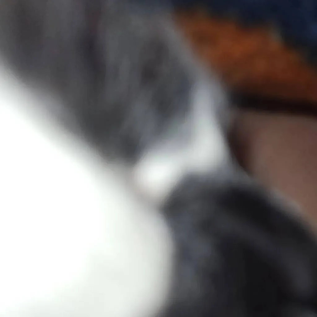 chat with ai character: cleo